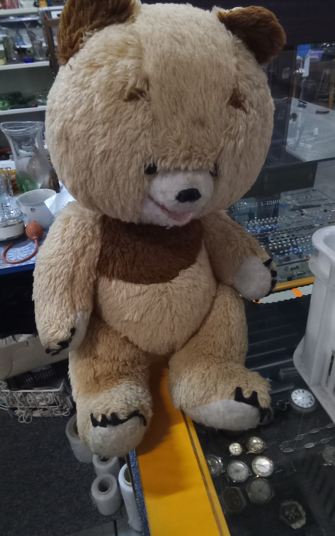 594899350_3275576419269613_8656953070420884731_n